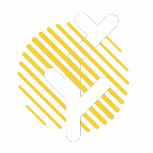 صندوق جسورانه رویش لوتوس