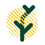 صندوق جسورانه رویش لوتوس